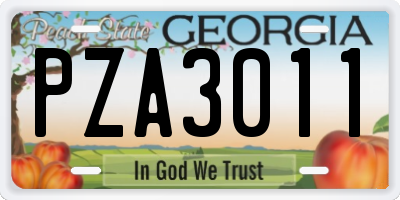 GA license plate PZA3011