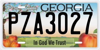 GA license plate PZA3027