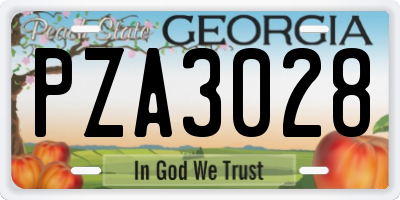 GA license plate PZA3028