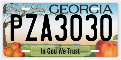 GA license plate PZA3030
