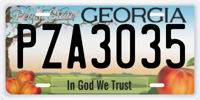 GA license plate PZA3035