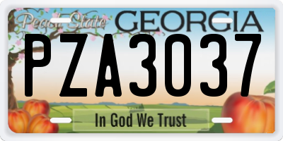 GA license plate PZA3037