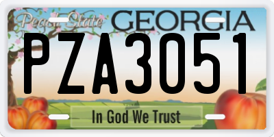 GA license plate PZA3051