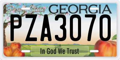 GA license plate PZA3070