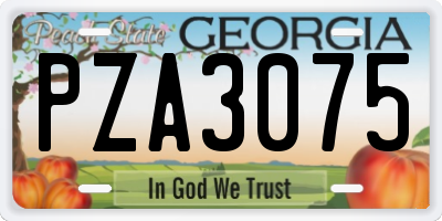 GA license plate PZA3075