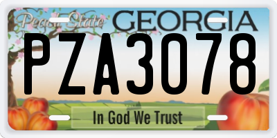 GA license plate PZA3078