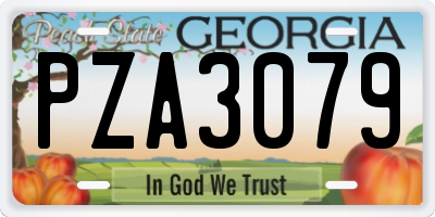 GA license plate PZA3079