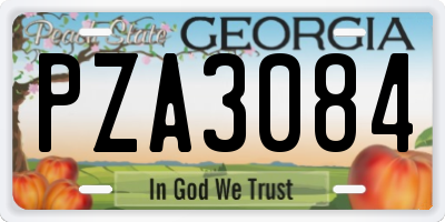 GA license plate PZA3084