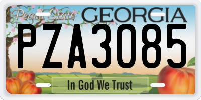 GA license plate PZA3085