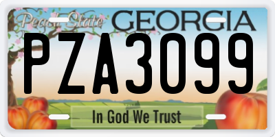GA license plate PZA3099