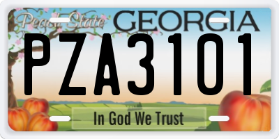 GA license plate PZA3101