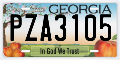 GA license plate PZA3105