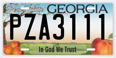 GA license plate PZA3111