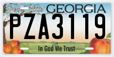 GA license plate PZA3119