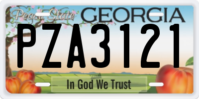 GA license plate PZA3121