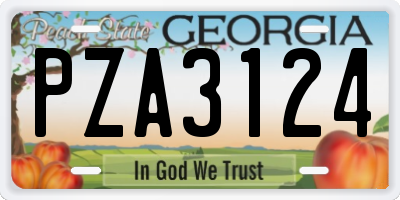 GA license plate PZA3124