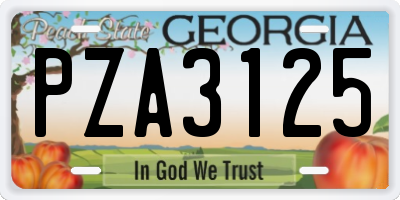 GA license plate PZA3125