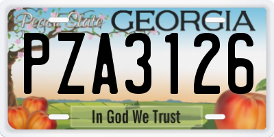 GA license plate PZA3126