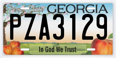 GA license plate PZA3129