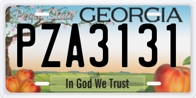 GA license plate PZA3131