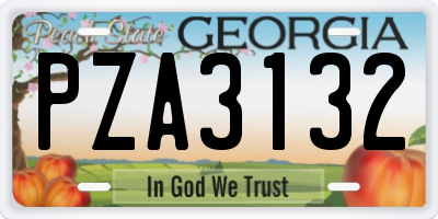 GA license plate PZA3132