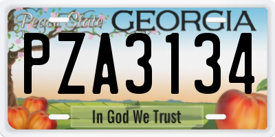 GA license plate PZA3134