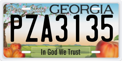 GA license plate PZA3135