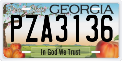 GA license plate PZA3136
