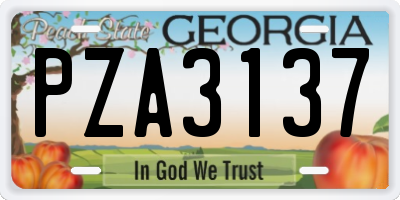 GA license plate PZA3137