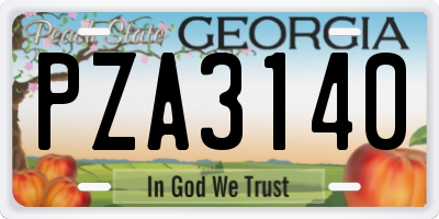 GA license plate PZA3140
