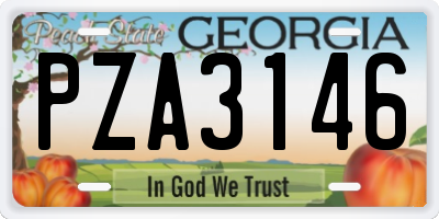 GA license plate PZA3146