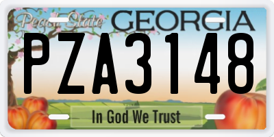 GA license plate PZA3148