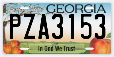 GA license plate PZA3153