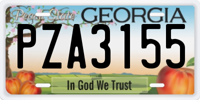 GA license plate PZA3155