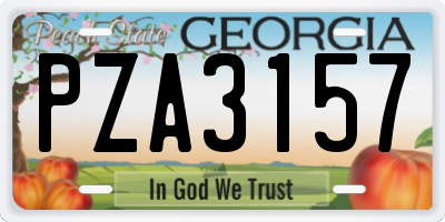 GA license plate PZA3157