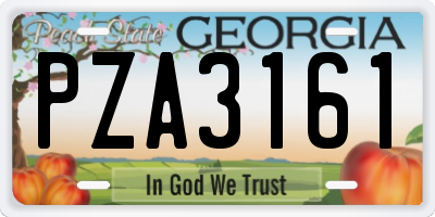 GA license plate PZA3161