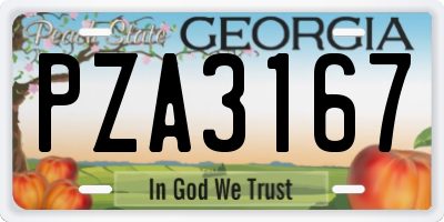 GA license plate PZA3167