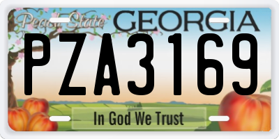 GA license plate PZA3169