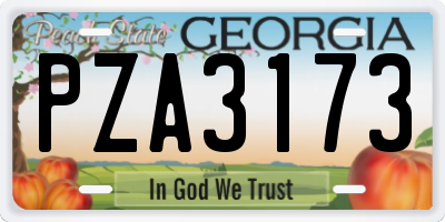 GA license plate PZA3173