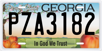 GA license plate PZA3182