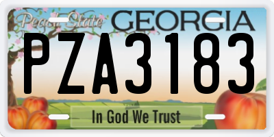 GA license plate PZA3183