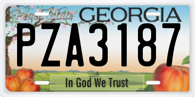 GA license plate PZA3187