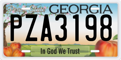 GA license plate PZA3198