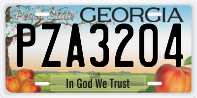 GA license plate PZA3204