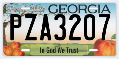 GA license plate PZA3207
