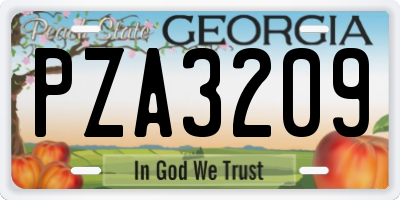GA license plate PZA3209