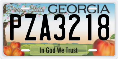 GA license plate PZA3218
