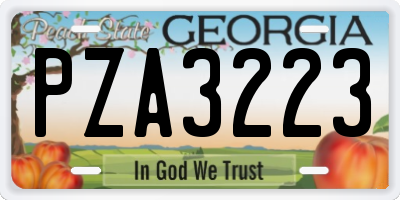 GA license plate PZA3223