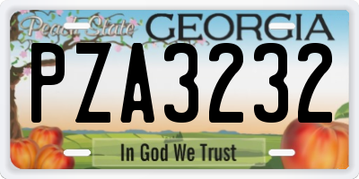 GA license plate PZA3232