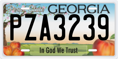 GA license plate PZA3239